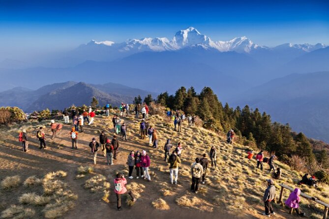 Poon Hill Sunrise Trek From Pokhara-3 Days - Tips for Capturing the Sunrise