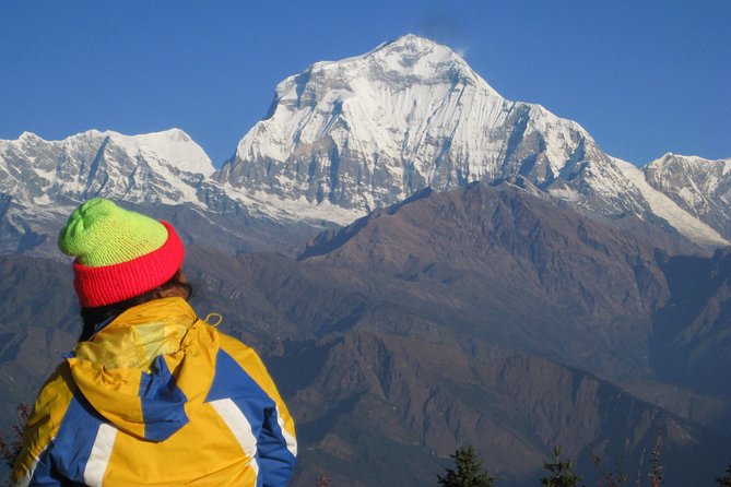 Poon Hill Trek - Reviews Summary and Sources