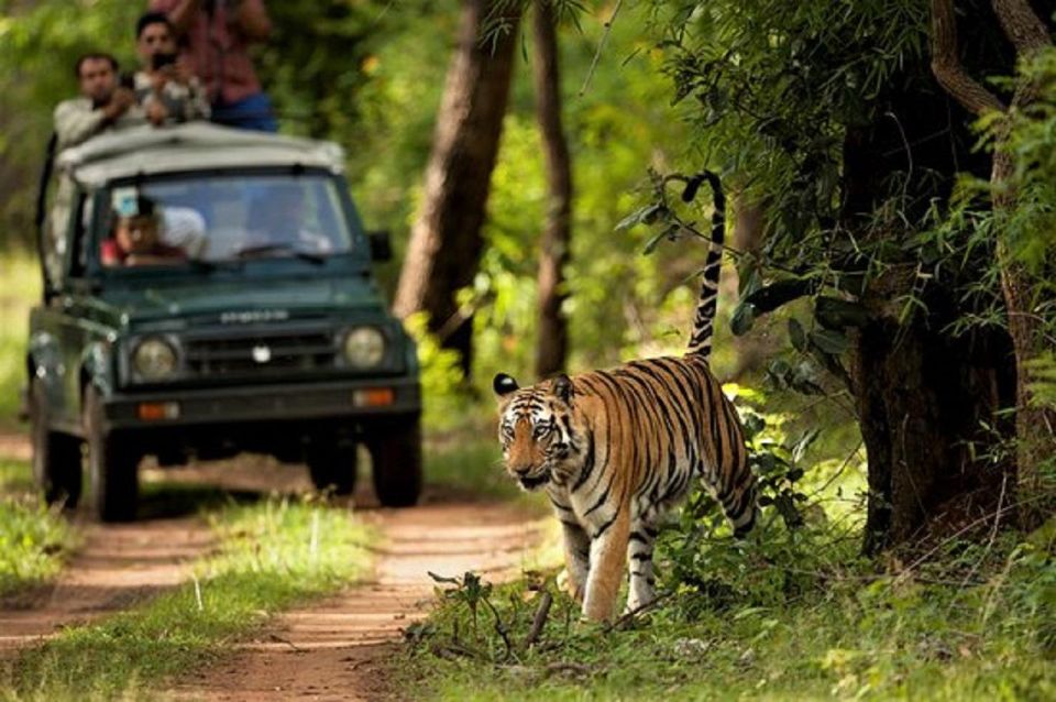 Wonders of Wildlife: 4-Day Chitwan National Park Tour - Departure Details