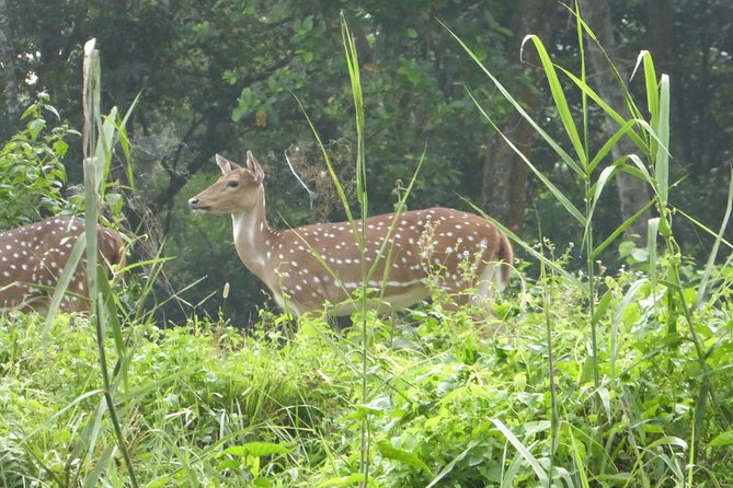 10 Days Kathmandu Chitawan Pokhara Tour With Dhampus Trek - Frequently Asked Questions