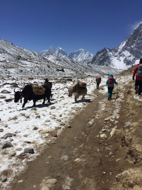 Everest Base Camp Trek - Tips for a Successful Trek