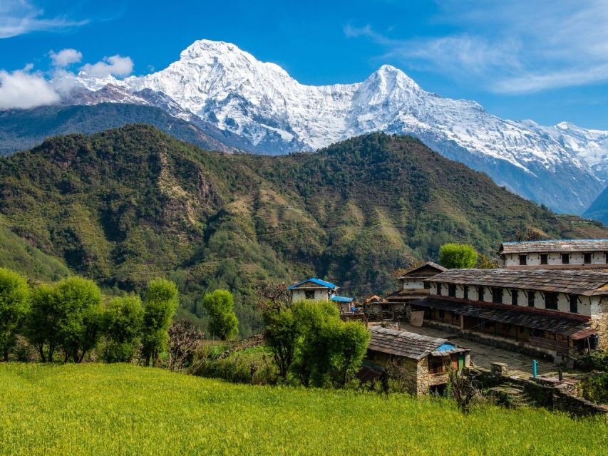 From Kathmandu: 5 Day Poon Hill and Ghandruk Guided Trek - The Sum Up
