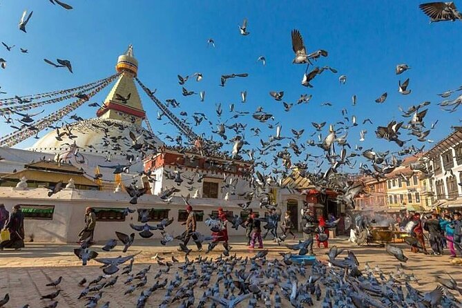 Half Day Sightseeing Tour Kathmandu ( Boudhnath Stupa and Pasupati Temple ) - Reviews and Ratings