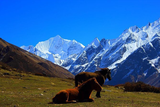 Langtang Valley Trek - Final Words