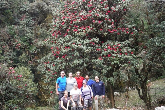 Luxury Ghorepani Poonhill Trek - 10 Days - Questions and Help