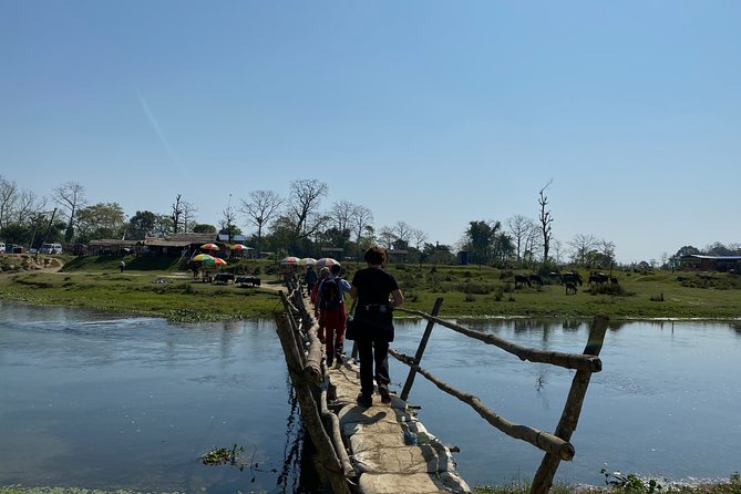 Nature Walk in Chitwan Jungle Safari With Guide - Final Words