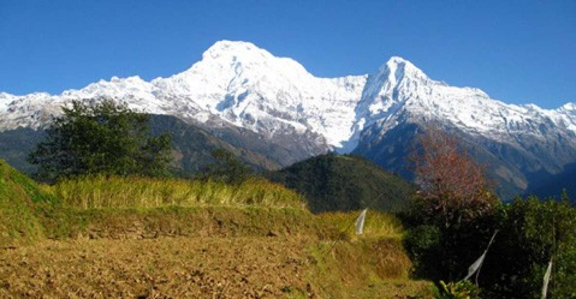 Annapurna - 4 Days Poon Hill Trek From Pokhara. - Key Points