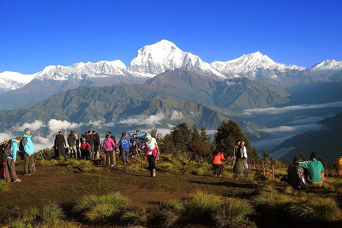 Annapurna Dhaulagiri Khopra Trekking - Just The Basics