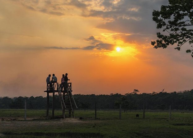 Chitwan Jeep Safari - Just The Basics