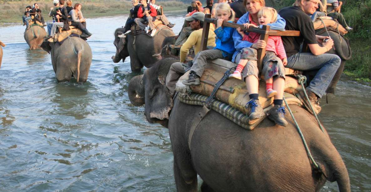 Chitwan Jungle Safari Tour: 3-Day Chitwan National Park Tour - Key Points