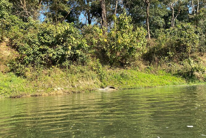 Chitwan Jungle Safari With Overnight Stay - Just The Basics