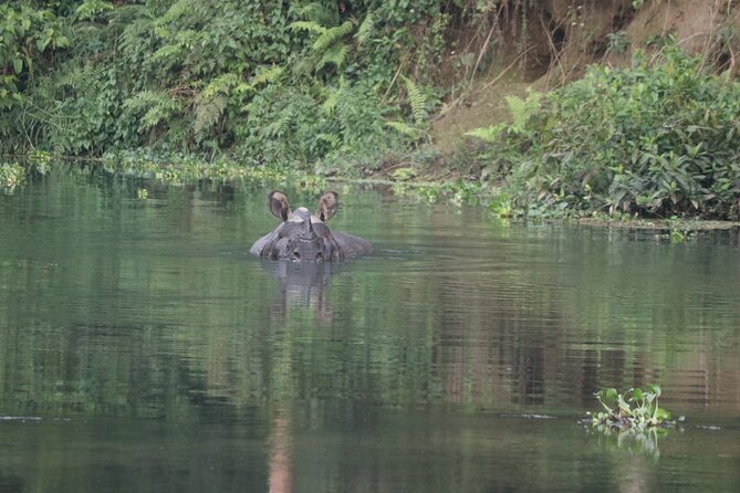 Day Walk(8-10h.) Inside Chitwan National Park. - Park Entrance Permit and Logistics