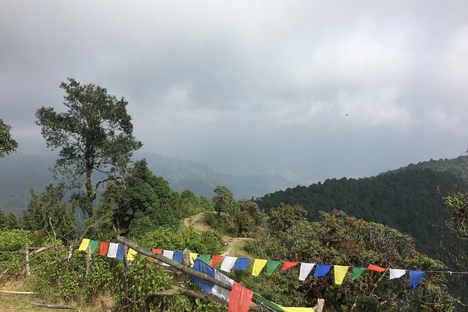 Easy Hiking to Australian Camp From Pokhara - Just The Basics