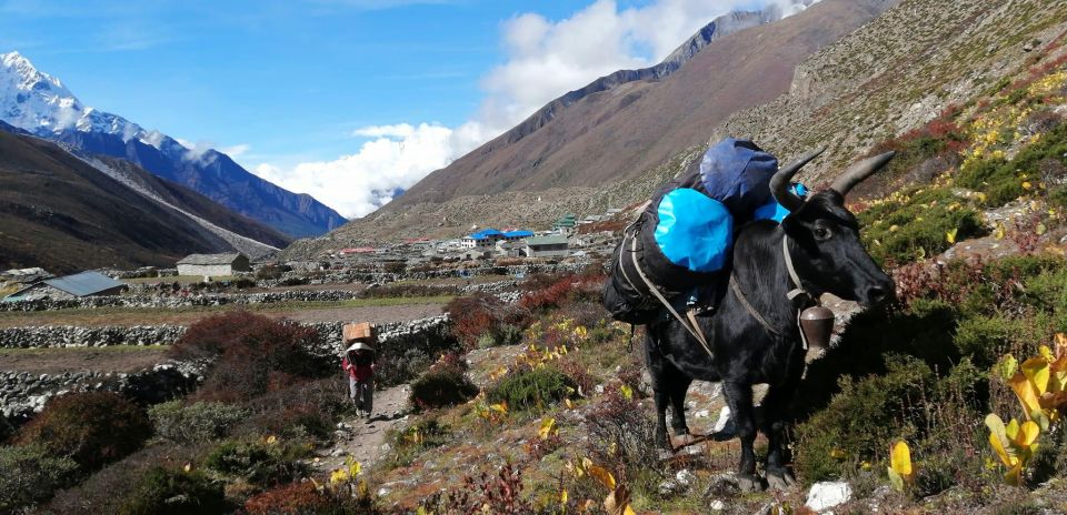 Everest Base Camp - Chola Pass - Gokyo Lake Trek - 15 Days - Key Points