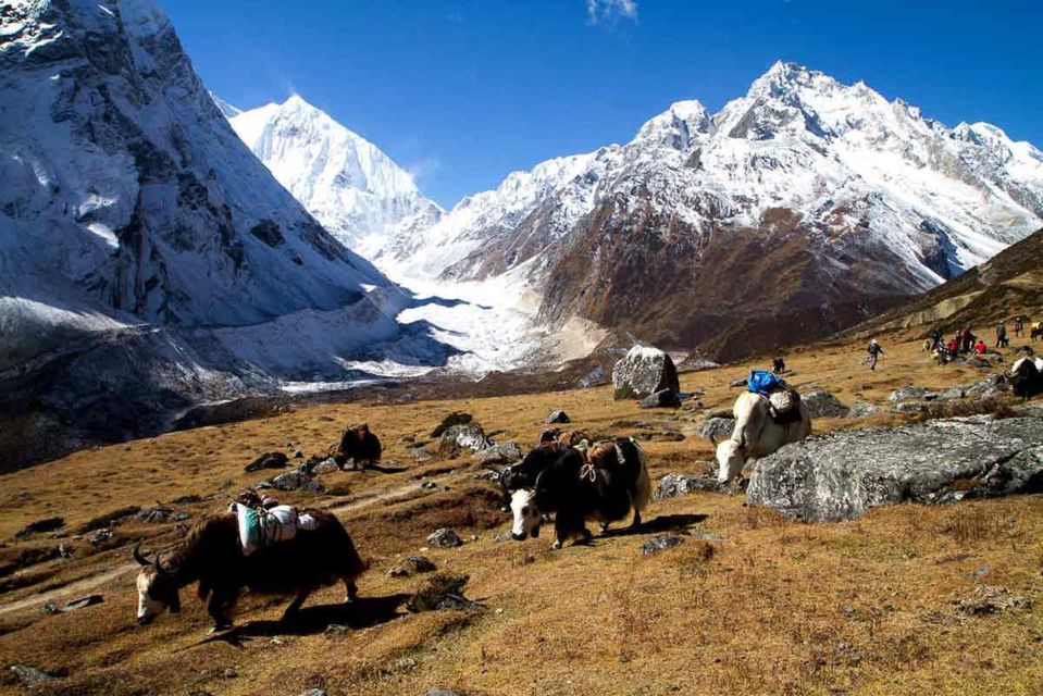 From Kathmandu :11-Day Guided Manasalu Circuit Trek - Good To Know