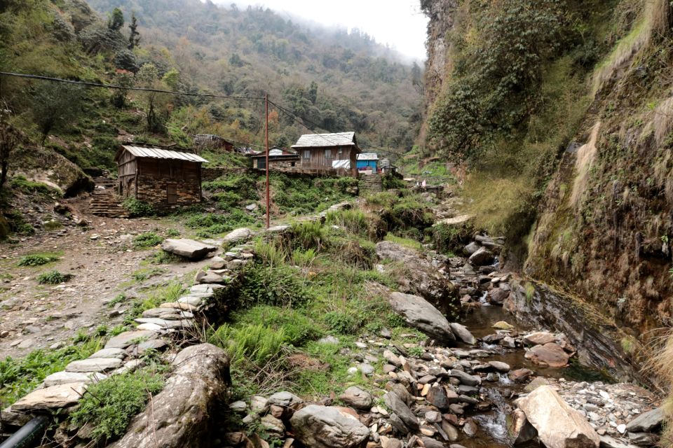 From Kathmandu: Poon Hill Multi-Day Trekking Trip - Key Points