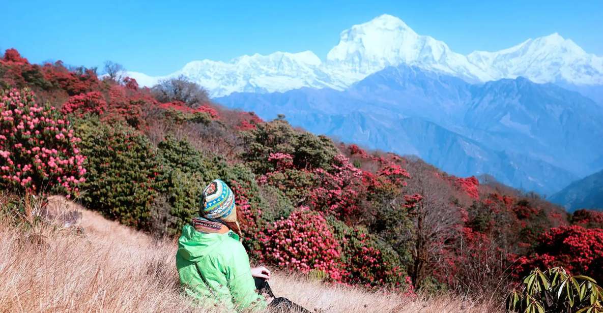 From Pokhara: 2 Day Ghorepani Poon Hill Short Trek - Key Points