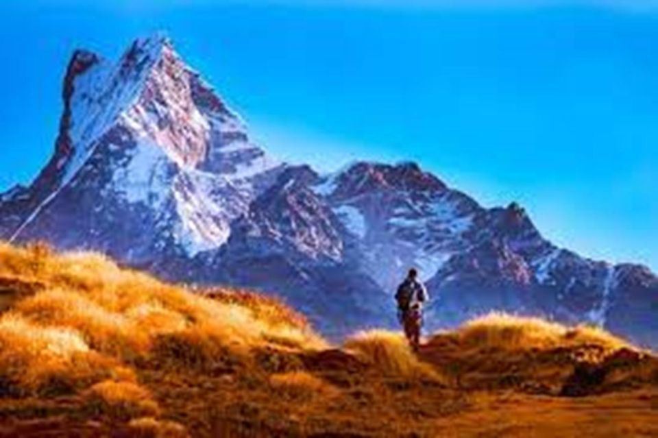 From Pokhara: 4 Days Mardi Himal Trek - Trek Itinerary Highlights