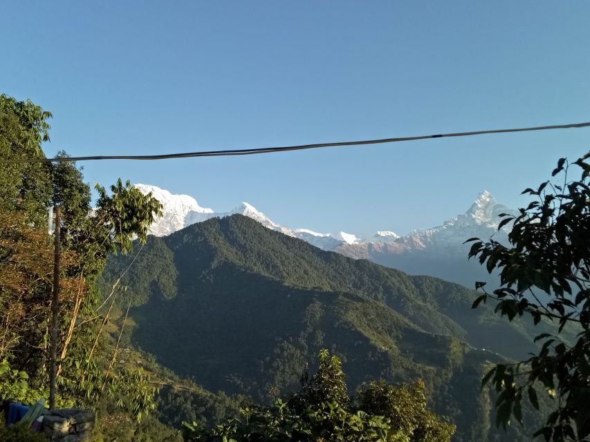 From Pokhara: Short Trek 1 Night 2 Days Dhampus Trek - Key Points