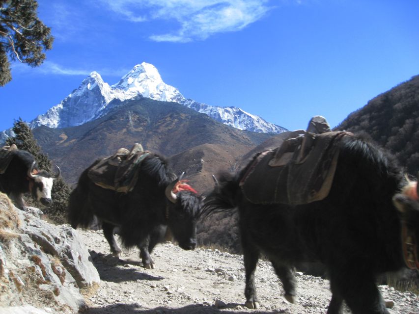 Glimpse of the Mount Everest- 7 Days Trek From Kathmandu - Good To Know