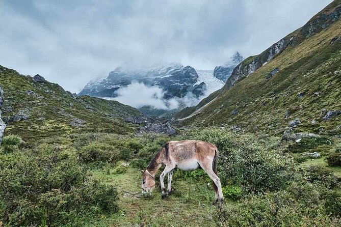 Hike the Heart of Nepal: Langtang Valley 7-Day Trek - Just The Basics