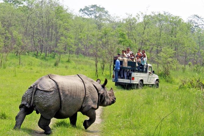 Jungle Safari Tour in Chitwan National Park - Just The Basics