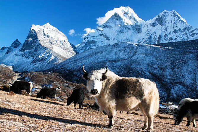 Lobuche East Peak Climb With Everest Base Camp Trek - Just The Basics