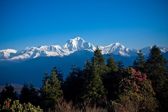 Luxury Ghorepani Poonhill Trek - 10 Days - Just The Basics