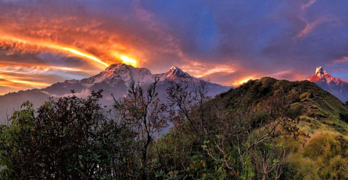 Mardi Himal Trek: 5 Days Mardi Trek From Pokhara - Key Points