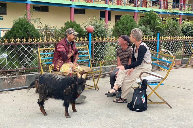Morning Half Day Tibetan Cultural Tour to Tibetan Settlements - Tour Overview