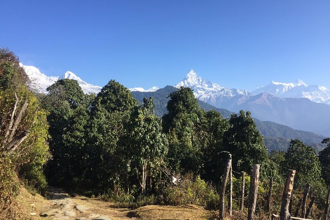 Multi-Day Ghandruk Trek in Pokhara - Accommodation and Transportation