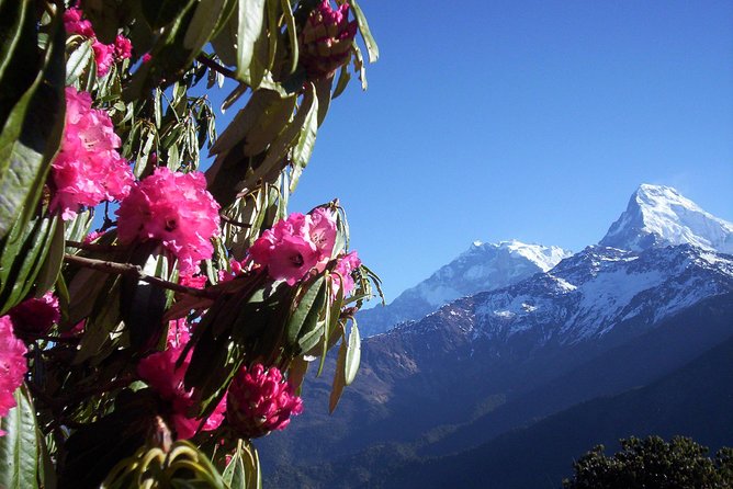 Poon Hill Trek - Just The Basics