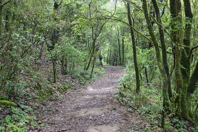 Shivapuri National Park Day Hiking - Budanilkantha, Nagi Gumba, Sundarijal Hike - Just The Basics