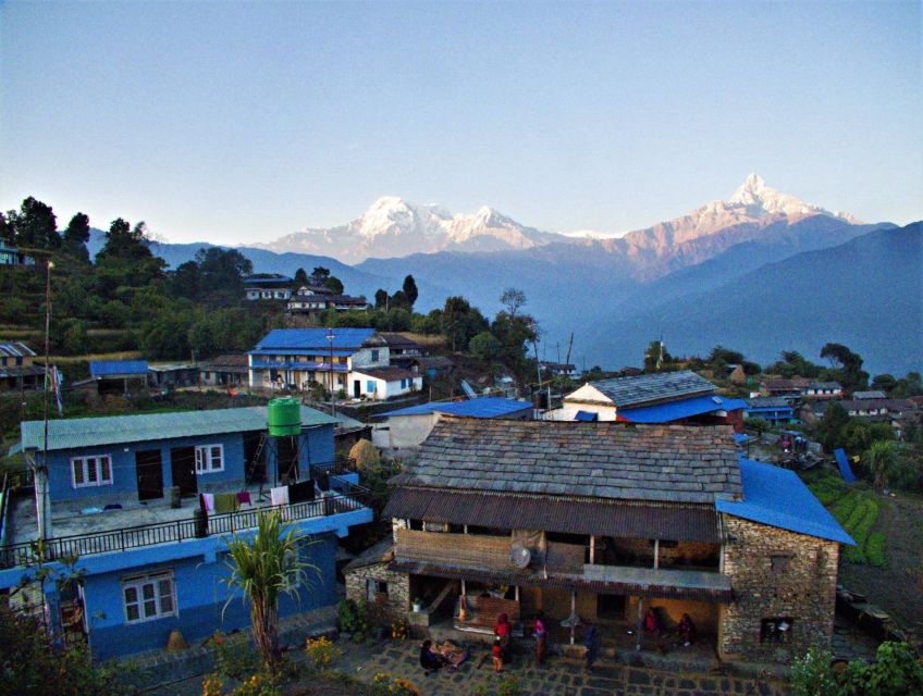 Pokhara: 3-Day Trek - Customer Reviews and Experiences