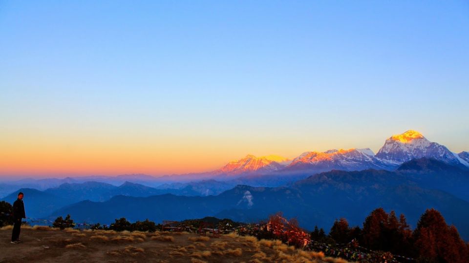 From Pokhara: 4-Day Ghorepani and Poon Hill Trek - Experience Highlights