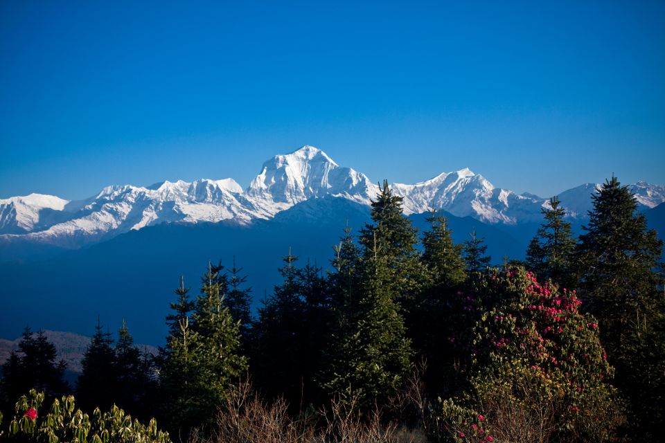 From Pokhara: 4-Day Ghorepani and Poon Hill Trek - Trek Overview