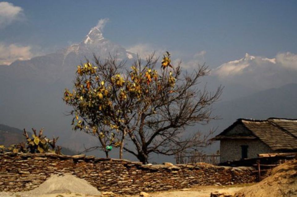 From Pokhara: 3-Day Dhampus-Sarangkot Trek - Trek Overview