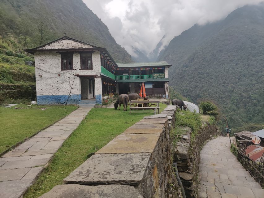 From Kathmandu: 7-Day Annapurna Basecamp Trek - Trek Highlights