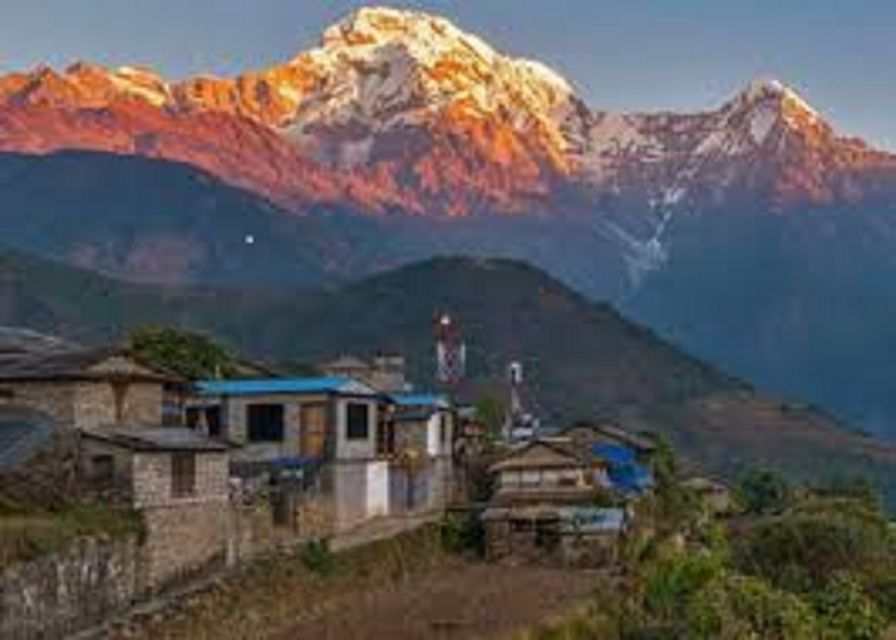 Scenic Adventure: 5-Day Mardi Himal Trek Tour From Pokhara - Tour Details