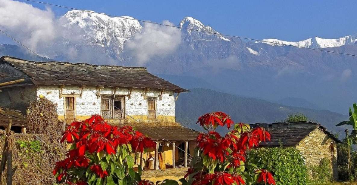 Pokhara: Guided Day Hike to Australian Base Camp - Activity Duration and Starting Times