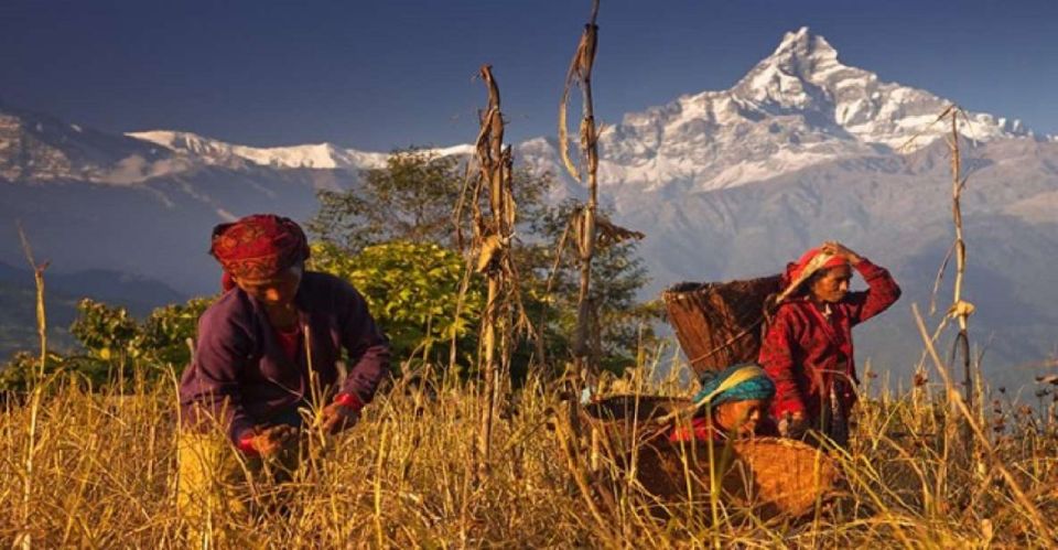 Pokhara: Guided Day Hike to Australian Base Camp - Itinerary Flexibility and Changes