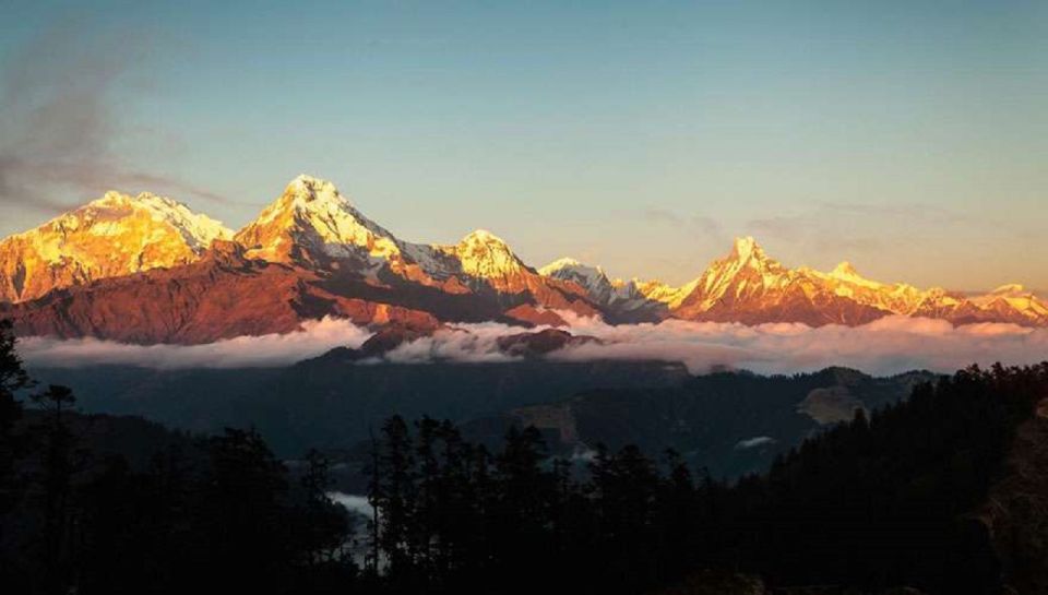 Pokhara: 7-Day 6-Night Annapurna Himalayas Base Camp Trek - Trek Highlights