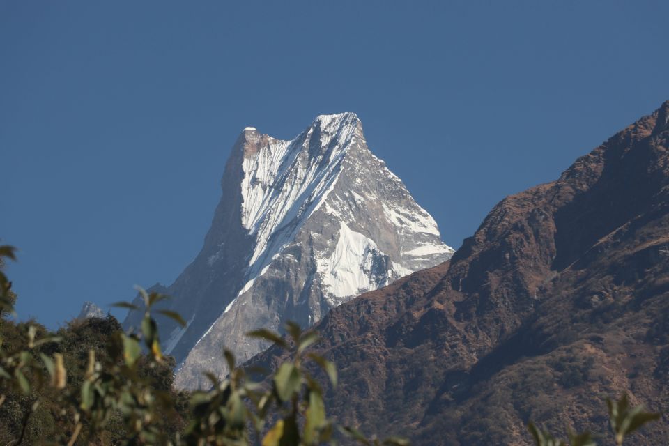 From Pokhara: 5-Day Annapurna Base Camp Trek - Overview of Annapurna Base Camp Trek