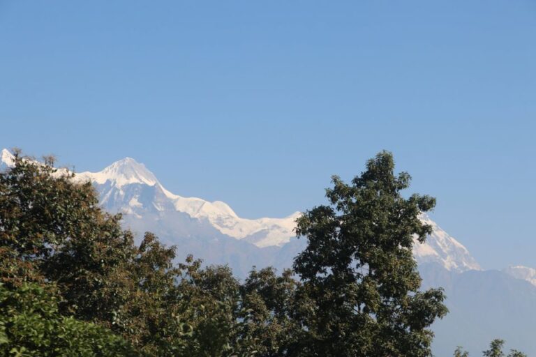 From Pokhara: 5-Day Annapurna Base Camp Trek