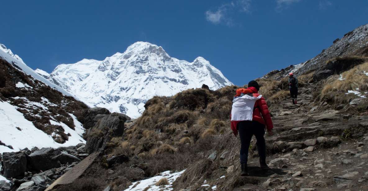 Pokhara: 5-Day Annapurna Base Camp Private Trekking Tour - Tour Overview