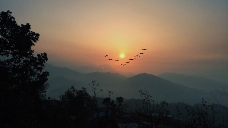 Pokhara: Group Joining Sarangkot Sunrise Himalayas Tour