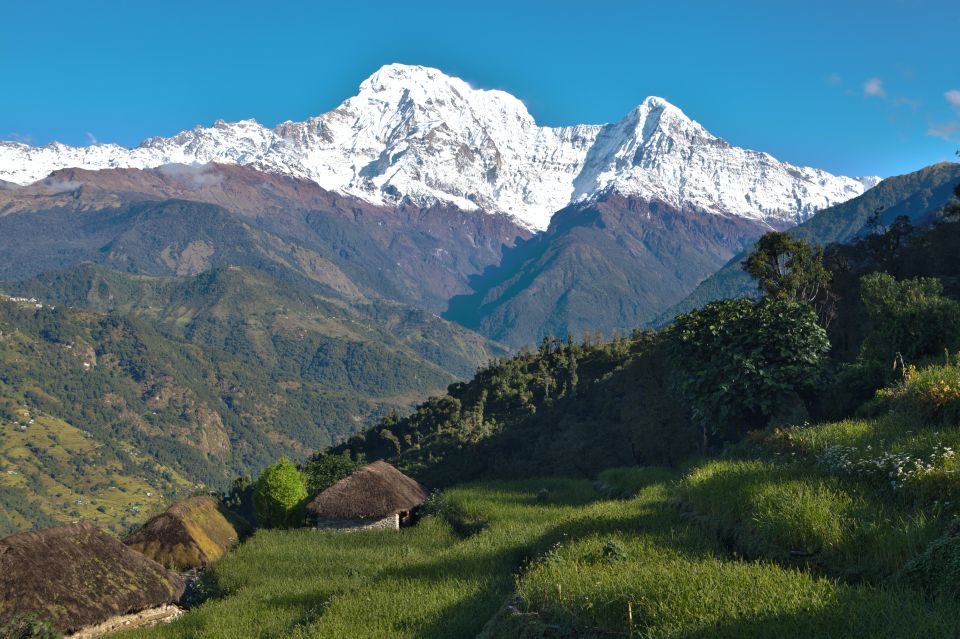 Pokhara: Australian Base Camp Day Hike - Experience Highlights