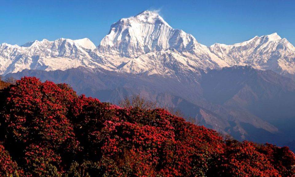 Pokhara: 3-Day Ghorephani & PoonHill Himalayan Paradise Trek - Trek Duration and Highlights