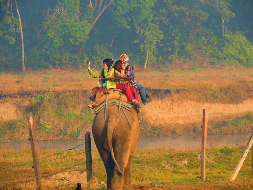 From Kathmandu: 3-Day Chitwan National Park & Elephants Tour - Highlights of Chitwan National Park