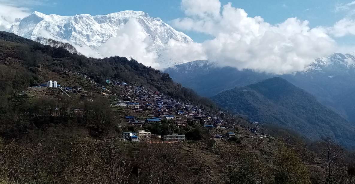 From Pokhara: 2 Nights 3 Days Mardi Himal Trek - Booking Information and Options